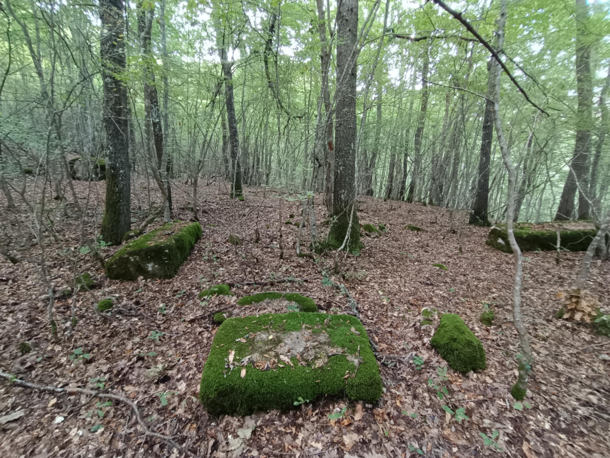 Obilazak nekropole sa stećcima na lokalitetu Koštani